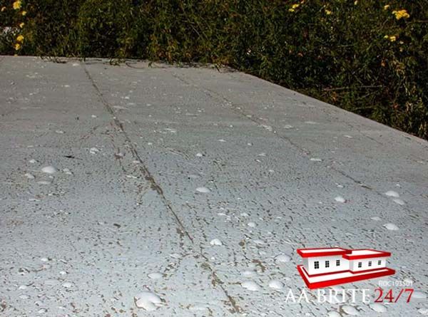 Too Many Roof Blisters