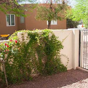 Exterior Painting Trim Bushes