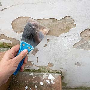 Exterior Painting Process