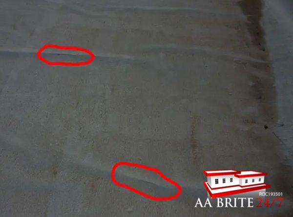 Roof Blister Example