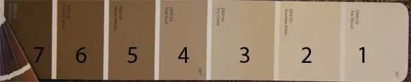 Paint Color Card
