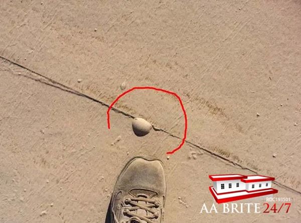 Roof Blister Example